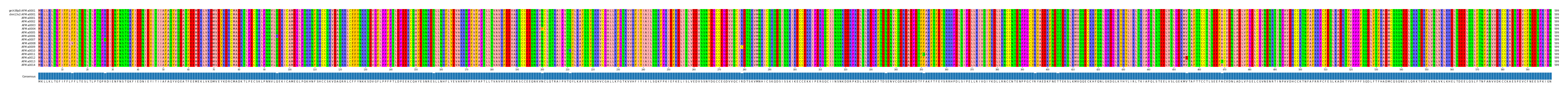 Multiple Alignments (by translate haplotype frequency)