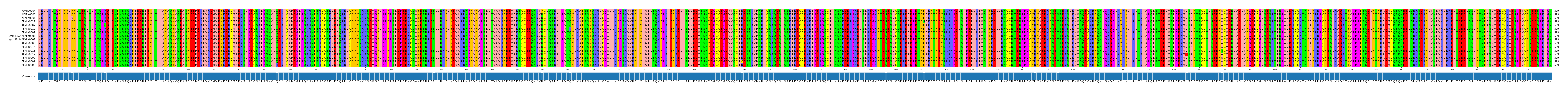 Multiple Alignments (by translate haplotype similarity)