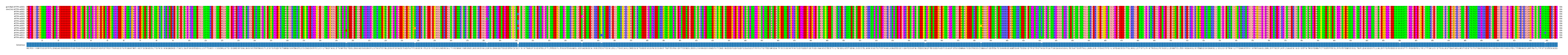 Multiple Alignments (by translate haplotype frequency)