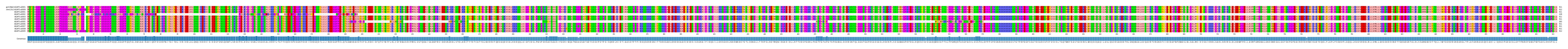 Multiple Alignments (by translate haplotype frequency)