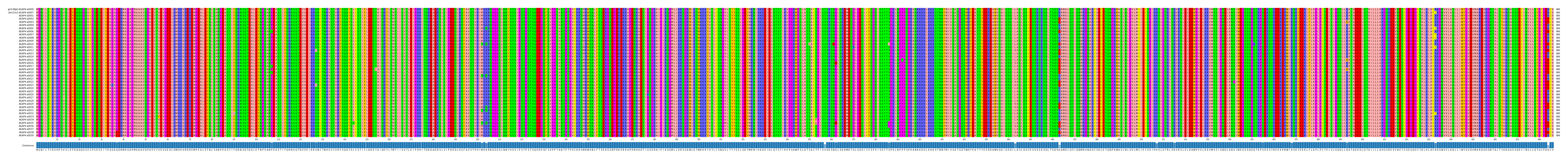 Multiple Alignments (by translate haplotype frequency)