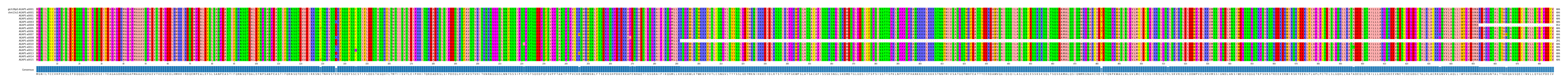Multiple Alignments (by translate haplotype frequency)