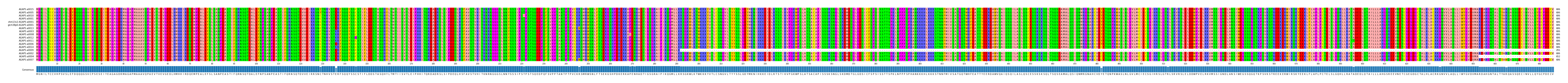 Multiple Alignments (by translate haplotype similarity)