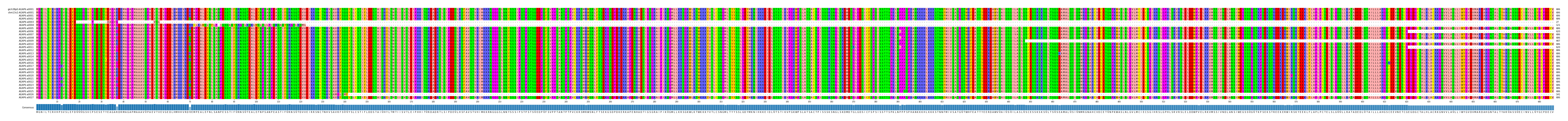 Multiple Alignments (by translate haplotype frequency)