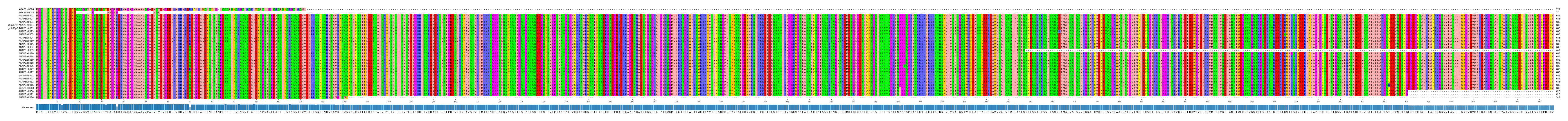 Multiple Alignments (by translate haplotype similarity)