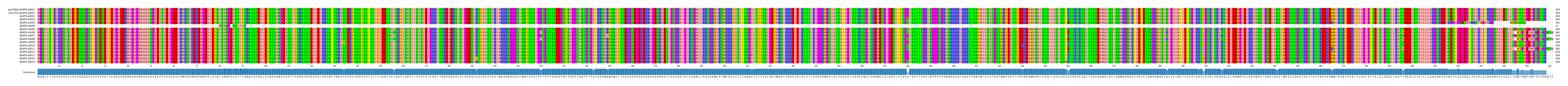 Multiple Alignments (by translate haplotype frequency)