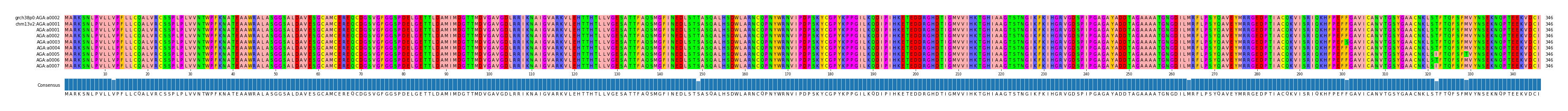 Multiple Alignments (by translate haplotype frequency)
