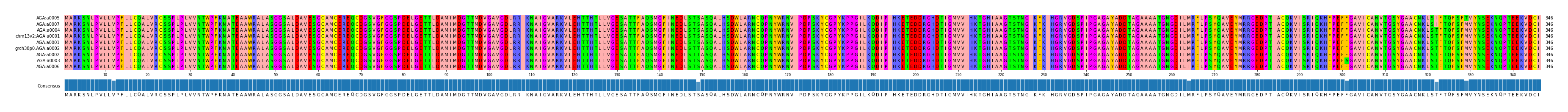 Multiple Alignments (by translate haplotype similarity)