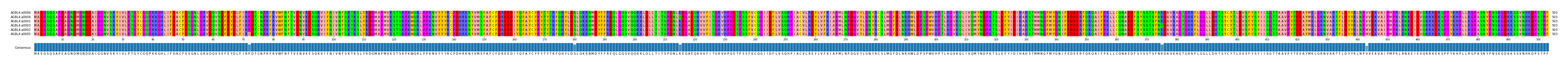 Multiple Alignments (by translate haplotype similarity)