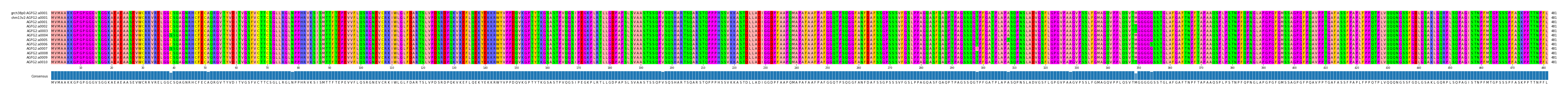 Multiple Alignments (by translate haplotype frequency)