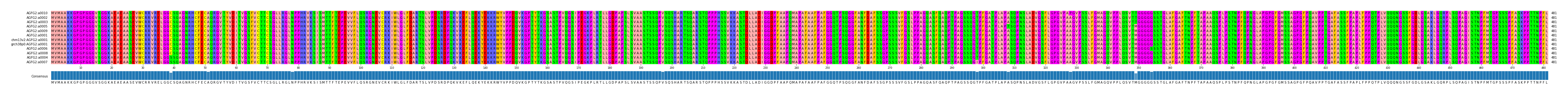 Multiple Alignments (by translate haplotype similarity)