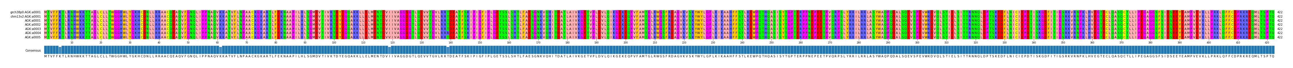 Multiple Alignments (by translate haplotype frequency)