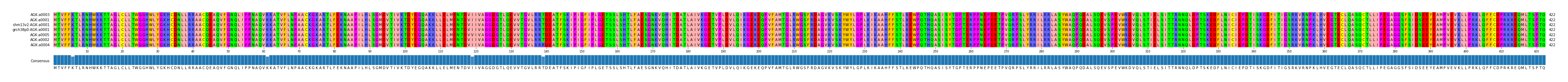 Multiple Alignments (by translate haplotype similarity)