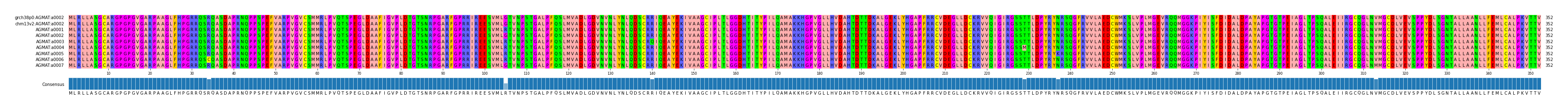 Multiple Alignments (by translate haplotype frequency)