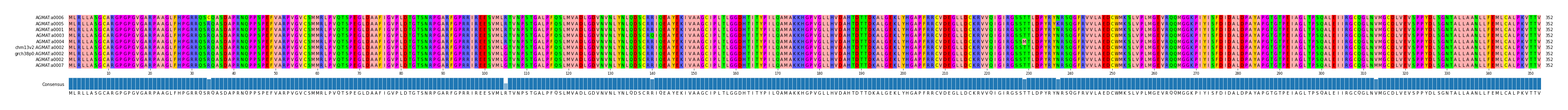 Multiple Alignments (by translate haplotype similarity)