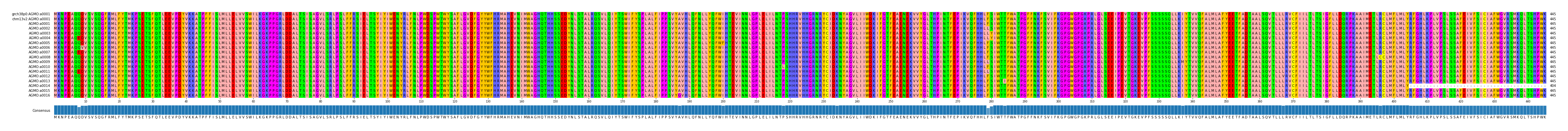 Multiple Alignments (by translate haplotype frequency)