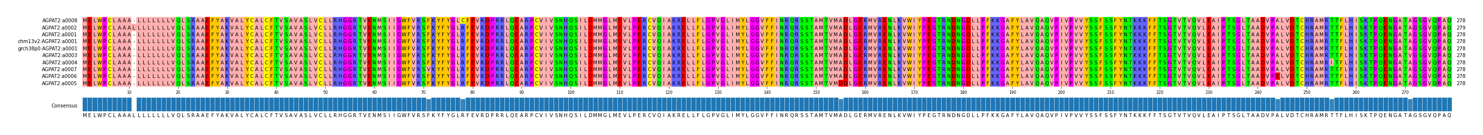 Multiple Alignments (by translate haplotype similarity)