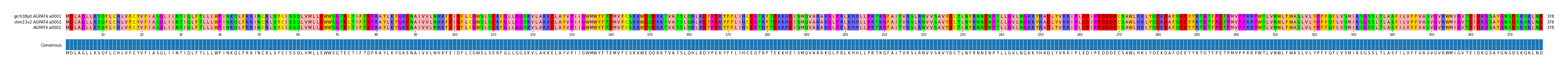 Multiple Alignments (by translate haplotype similarity)