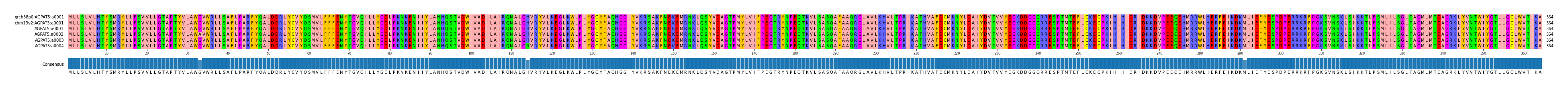 Multiple Alignments (by translate haplotype frequency)