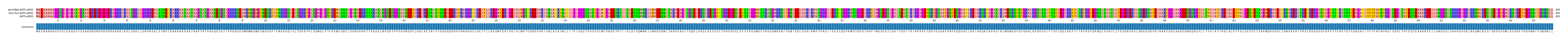 Multiple Alignments (by translate haplotype similarity)