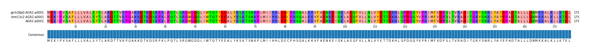 Multiple Alignments (by translate haplotype similarity)