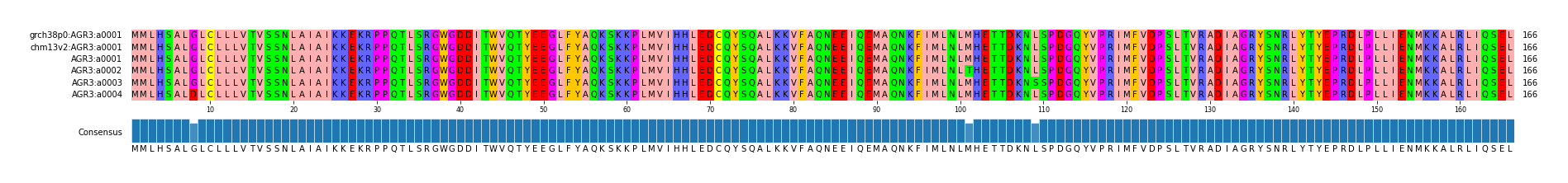 Multiple Alignments (by translate haplotype frequency)