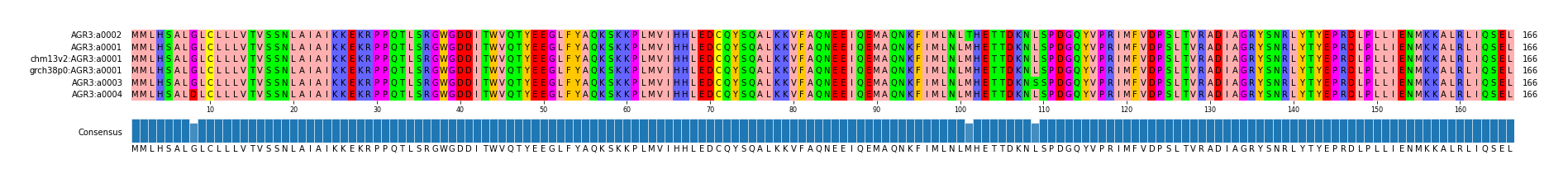 Multiple Alignments (by translate haplotype similarity)