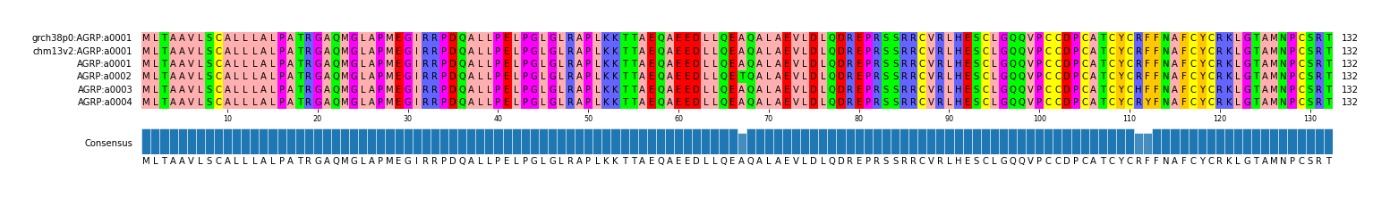 Multiple Alignments (by translate haplotype frequency)