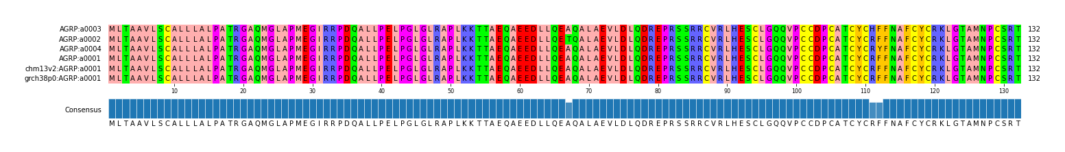 Multiple Alignments (by translate haplotype similarity)