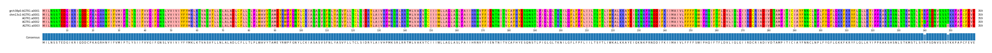 Multiple Alignments (by translate haplotype frequency)
