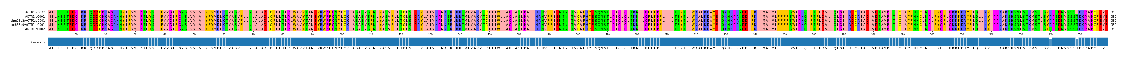 Multiple Alignments (by translate haplotype similarity)