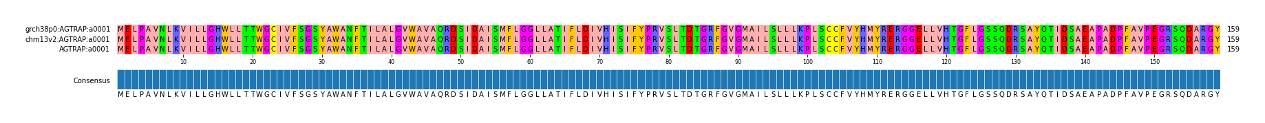 Multiple Alignments (by translate haplotype similarity)