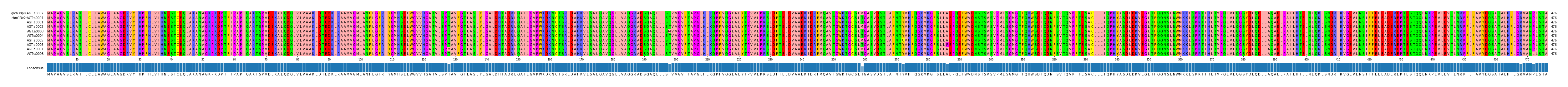 Multiple Alignments (by translate haplotype frequency)