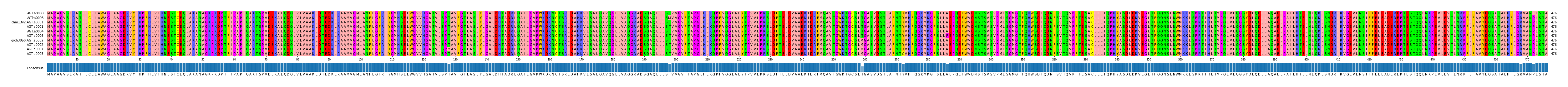 Multiple Alignments (by translate haplotype similarity)
