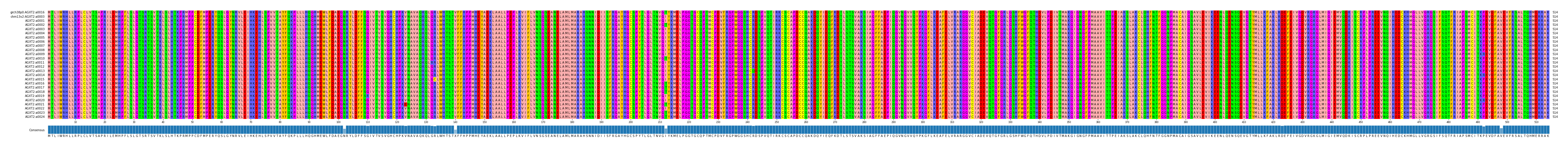 Multiple Alignments (by translate haplotype frequency)