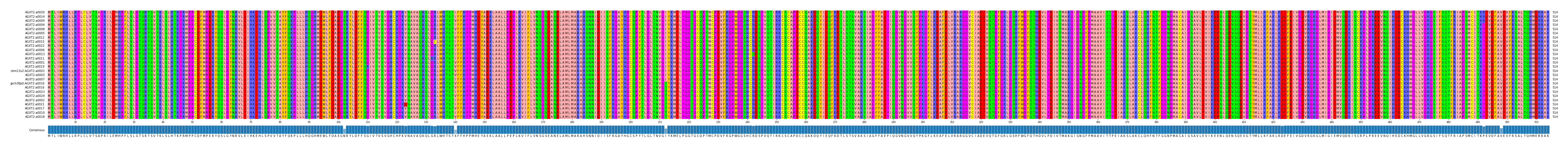 Multiple Alignments (by translate haplotype similarity)