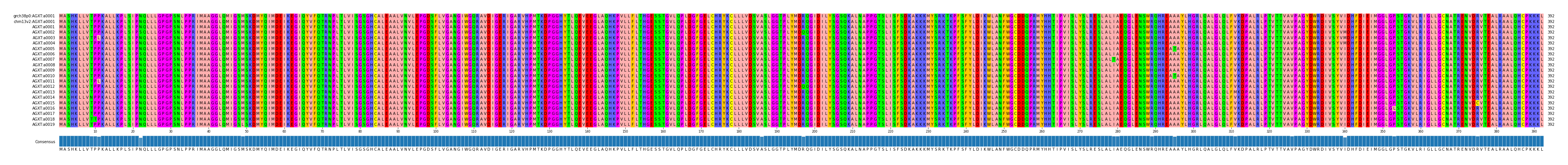 Multiple Alignments (by translate haplotype frequency)