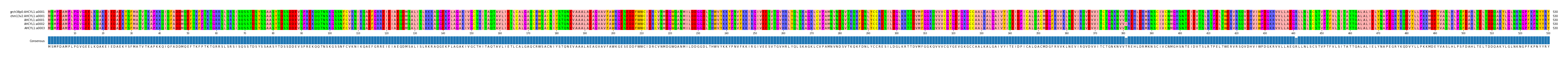 Multiple Alignments (by translate haplotype frequency)