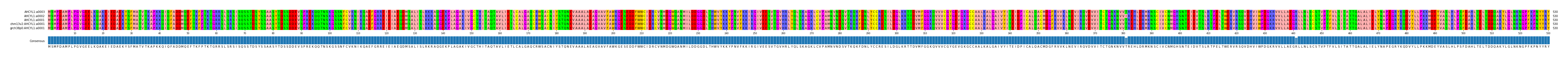 Multiple Alignments (by translate haplotype similarity)