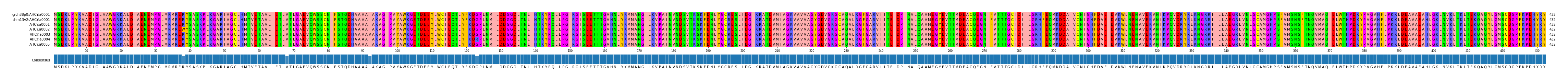 Multiple Alignments (by translate haplotype frequency)