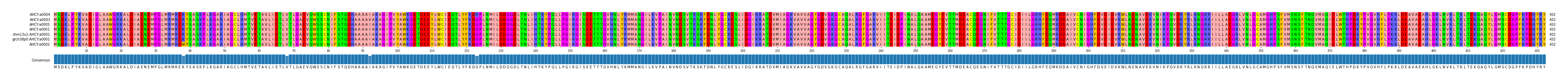 Multiple Alignments (by translate haplotype similarity)