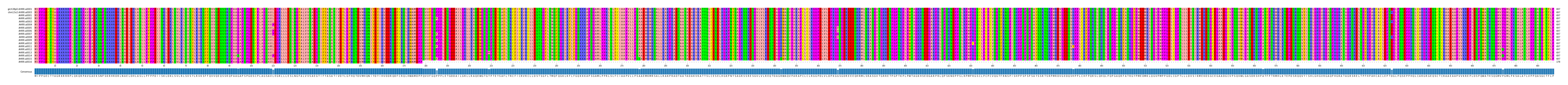 Multiple Alignments (by translate haplotype frequency)