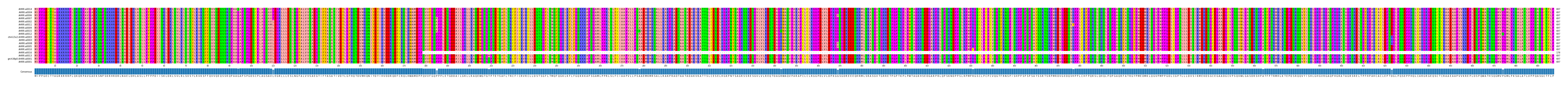 Multiple Alignments (by translate haplotype similarity)
