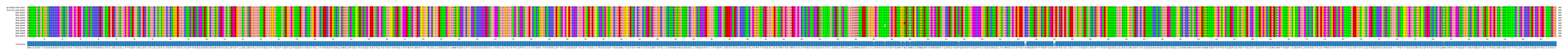 Multiple Alignments (by translate haplotype frequency)