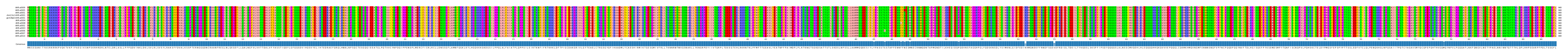 Multiple Alignments (by translate haplotype similarity)