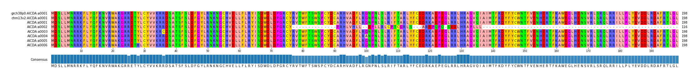 Multiple Alignments (by translate haplotype frequency)