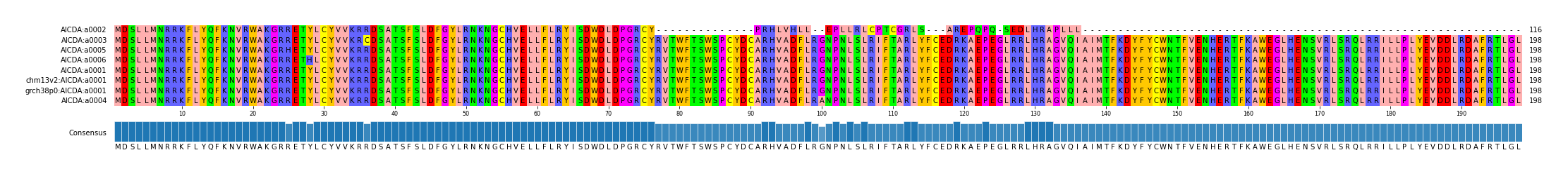 Multiple Alignments (by translate haplotype similarity)