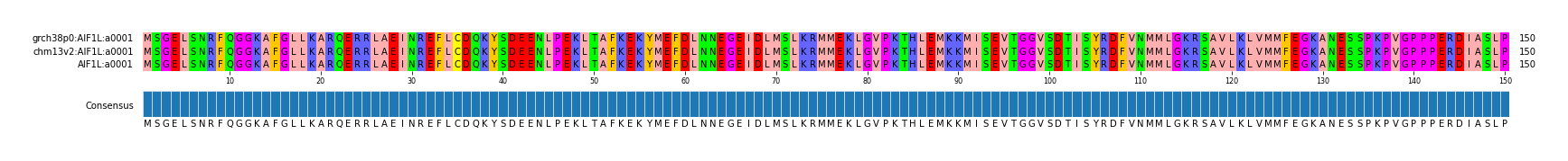 Multiple Alignments (by translate haplotype similarity)