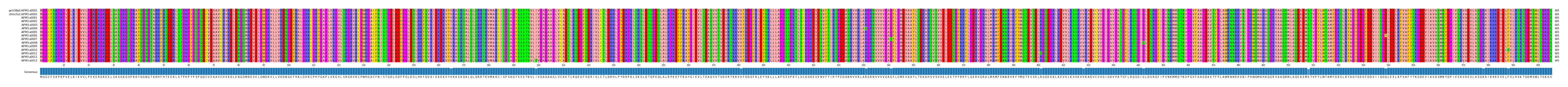 Multiple Alignments (by translate haplotype frequency)
