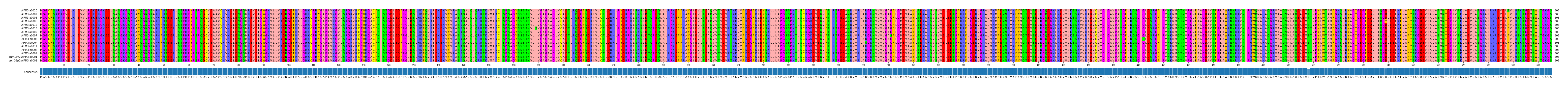Multiple Alignments (by translate haplotype similarity)